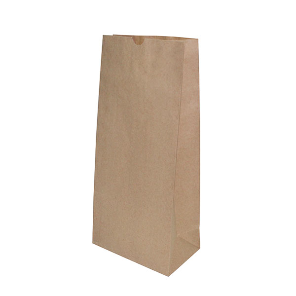 BROWN PAPER BAG SO4 (100)